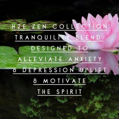 Alleviate Anxiety and Stress with Zen