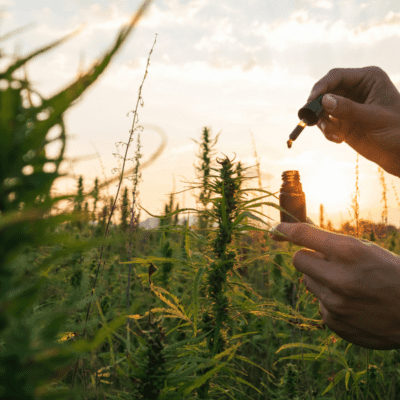 The Benefits of Using CBD Products